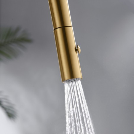 BOON - MIST COZINHA CHUV EXTRAIVEL 2 JACTOS ORO MATE - GCE024/OC