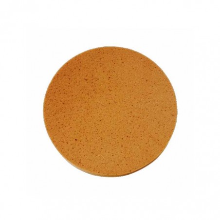 ESPONJA AREAR CASTANHA 370 MM - ACESS P/ TALOCHA ELEC EPG400 -