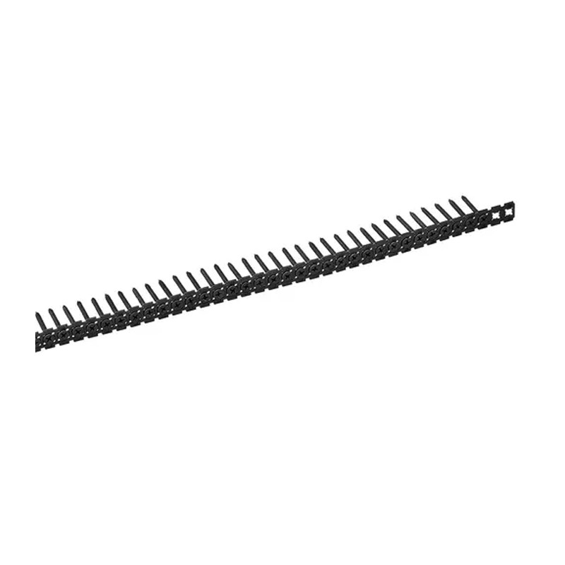 EINHELL ACESS - 1.000 PREGOS. 20 FAIXAS COM 50 PARAFUSOS PREGOS 2.5 MM X 35 MM PH2 ROSCA FINA ref 4261000