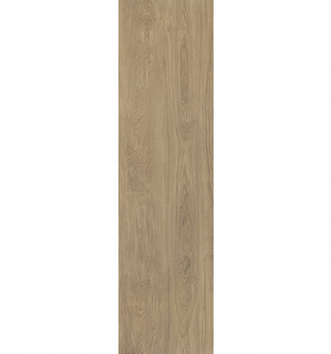 PAM KALON ROBLE 20x120 RECT...
