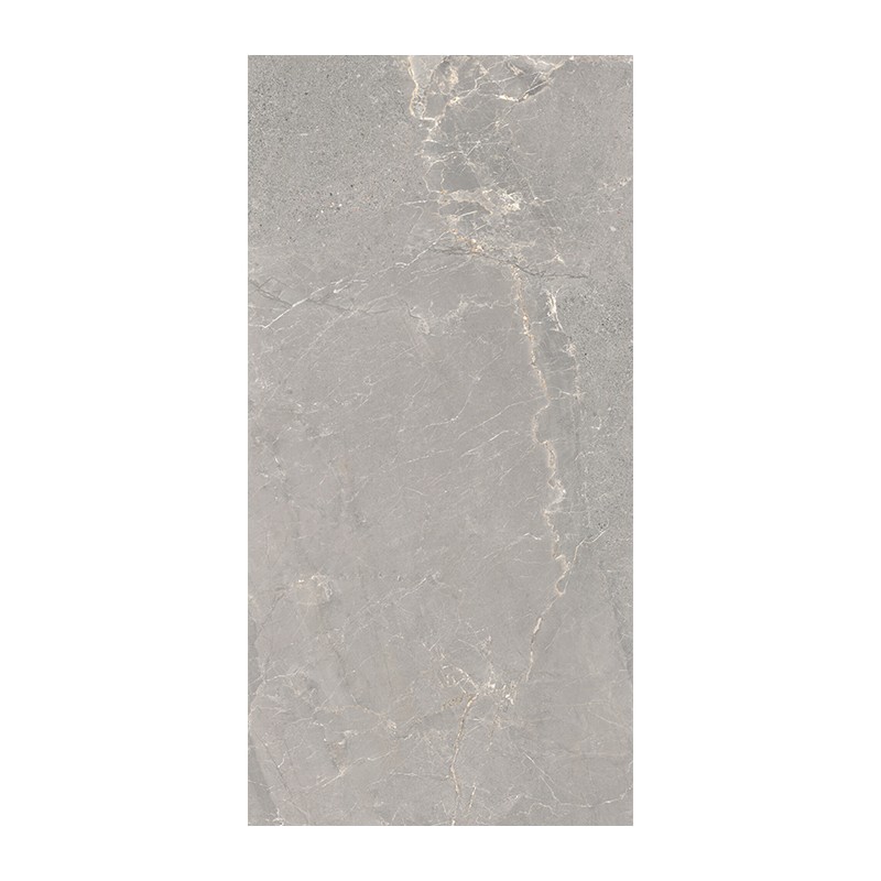 ALCHEMY IRON 60X120 - CX1.44 «ANTES 69€»
