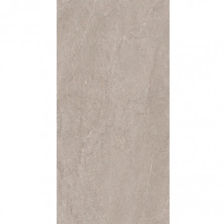 EVOLUTION LIGHT GREY 60X120 NR - cx 1.44
