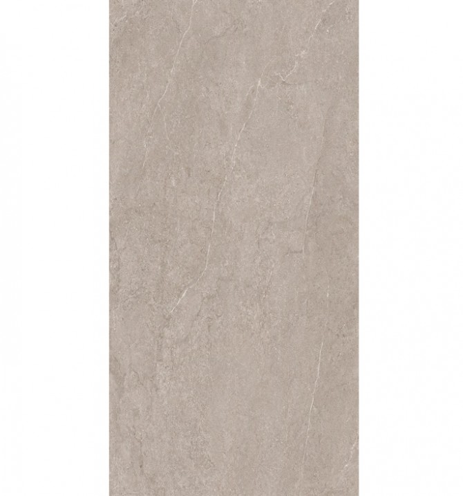EVOLUTION LIGHT GREY 60X120...