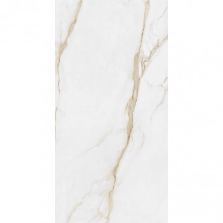 PORTOFINO GOLD BRILHO 60X120 RECT - CX 1.44m2