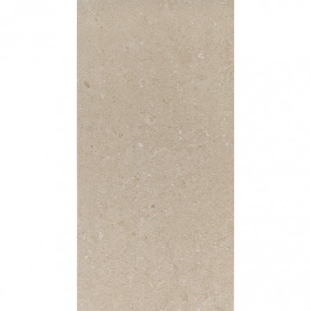 FREE STONE D. BEGE PLUS - ANTISLIP  30x60 - cx 1.47
