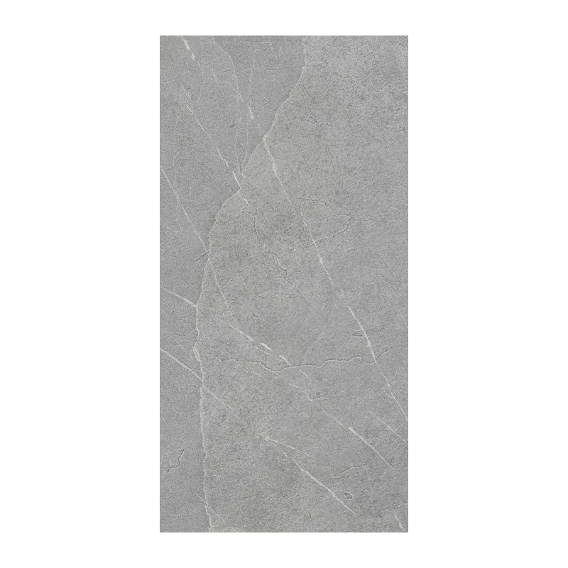 PIETRA DI LAVAGNA ARGENT 60x120RECT - CX 1.44