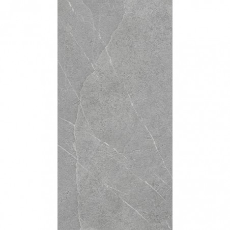 PIETRA DI LAVAGNA ARGENT 60x120RECT - CX 1.44