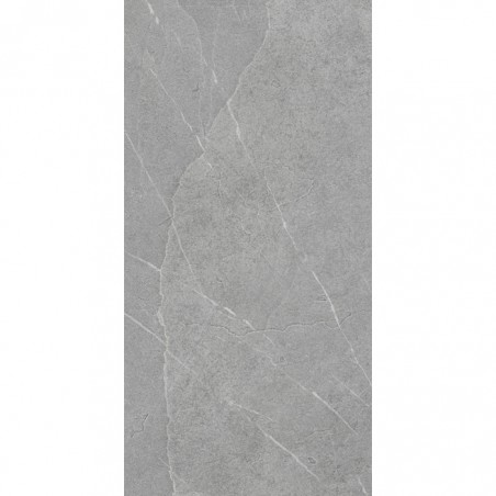 PIETRA DI LAVAGNA ARGENT - R11 - 30X60 RECT - CX 1.08