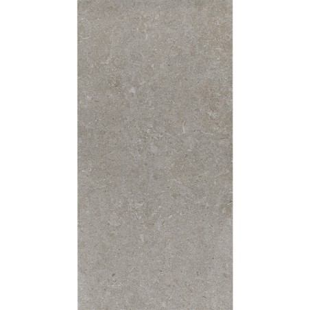 FREE STONE D. GREY PLUS - ANTISLIP  30x60 - cx 1.47