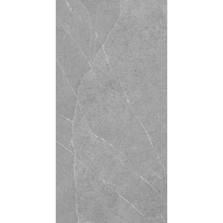 EXT PIETRA DI LAVAGNA ARGENT - R11 - 30X60 RECT - CX 1.08  «Antes 27.90€»