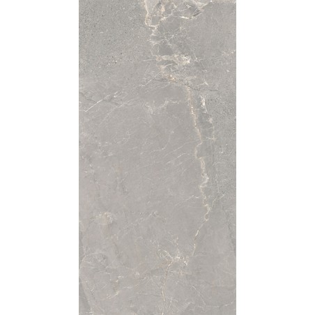 ALCHEMY IRON 60X120 - CX1.44