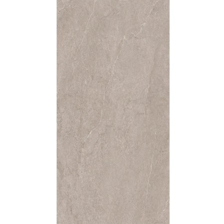 EVOLUTION LIGHT GREY 60X120 NR - cx 1.44