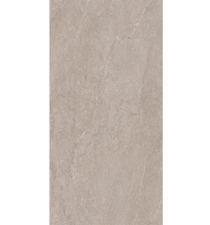 EVOLUTION LIGHT GREY 60X120...